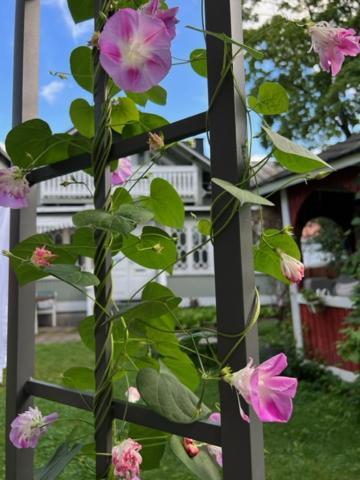 Hotelli Kaivo Naantali Exterior foto